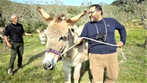 In onda su Linea Verde Allisola d’Elba tra storia e natura
