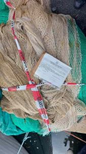 Pesca a strascico sotto costa a Calafuria, la Guardia Costiera sequestra la rete