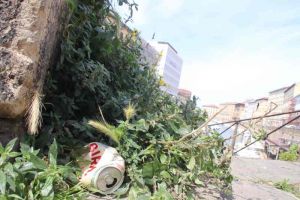 Pulizia Fossi di Livorno, l'Autorità Portuale pagherà il Comune