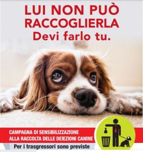 lui non può raccoglierla, devi farlo tu