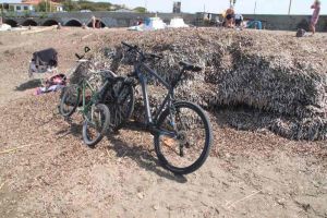Tre Ponti, "le alghe sono più alte delle biciclette"