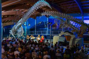 Torna il Livorno Music Festival, il programma completo dei concerti