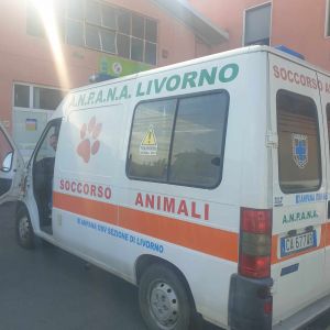 anpana mezzo soccorso animali