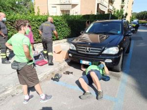 Via Goito: Vigili del fuoco e Anpana, salvano gatto nascosto nel motore di un'auto
