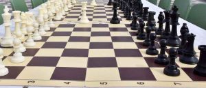 Torna la scuola di scacchi "Carlo Falciani" al Museo di Storia Naturale