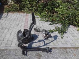 Tagliano le piante e trovano due scooter rubati nel 2019