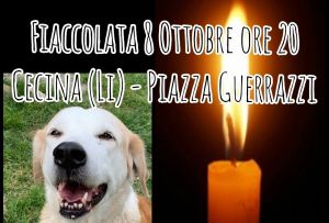 A Cecina una fiaccolata corteo per ricordare gli animali vittime innocenti