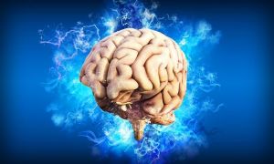 Scoperte le molecole che rendono unico il cervello umano