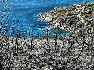 Eba: 40 ettari di macchia in fumo, le terribili immagini della devastazione