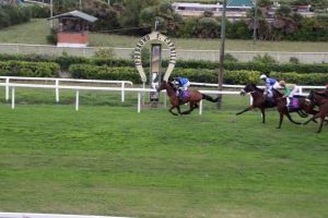 Ippodromo: al via la stagione, Barbara De Rossi e Alba Parietti all'inaugurazione