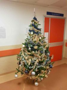 A pediatria arriva l'albero di Natale donato da Leroy Merlin