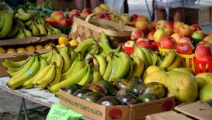 Ri-generi Alimentari, frutta e verdura gratis distribuita ai cittadini