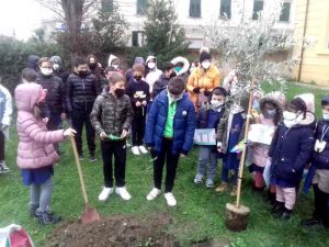 Piantato l'albero della Memoria alle scuole Micheli (Video)