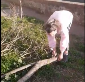 Scali del Pontino, rami dimenticati da oltre due mesi. La video denuncia