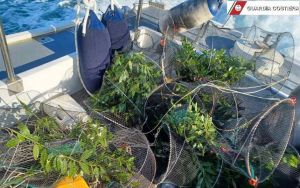 Pesca illegale, sequestrate nasse non regolamentari