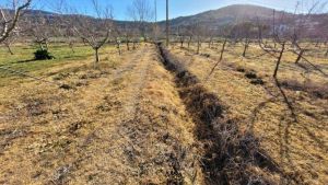 Diserbanti vicino a punto di captazione, 6.600 € di multa ad un agricoltore