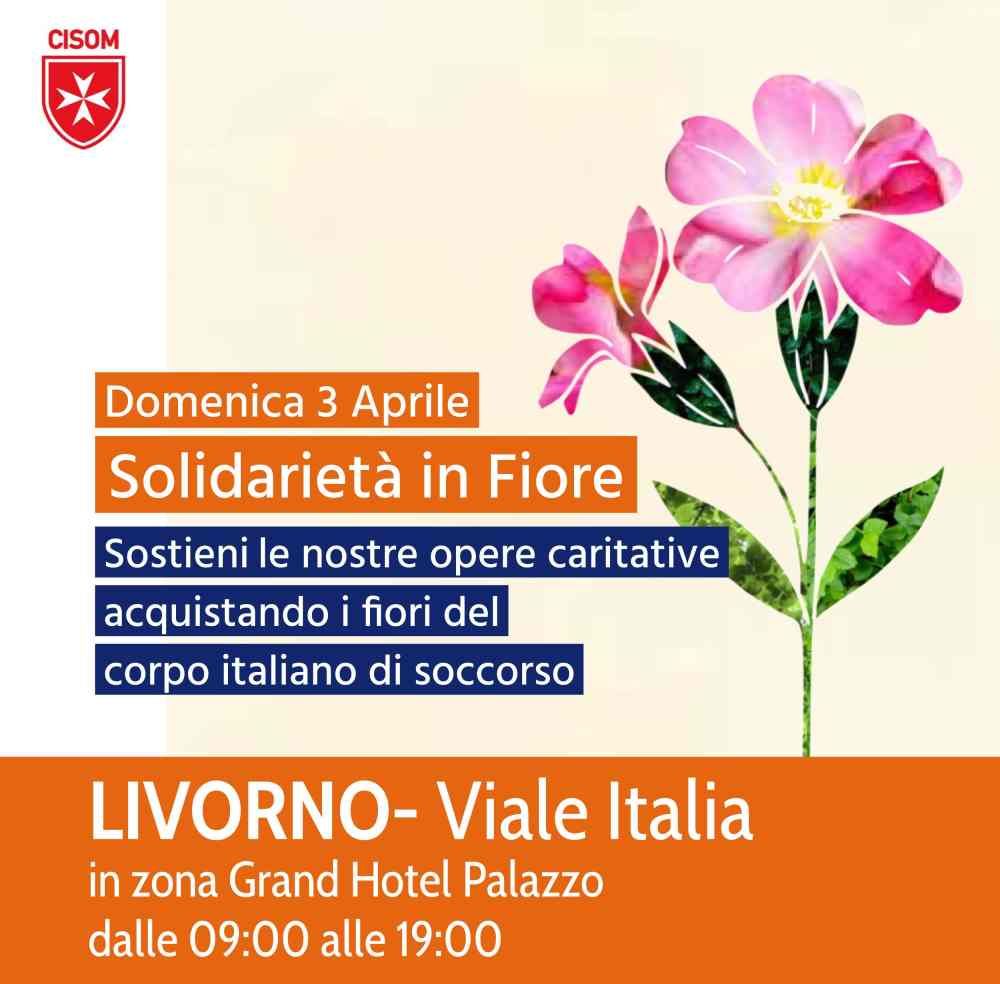 "Solidarietà in Fiore", ritira il tuo fiore e partecipa al gesto di solidarietà CISOM