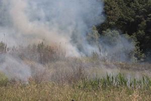Rischio incendi, da oggi 11 giugno divieto assoluto di abbruciamenti