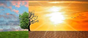 Clima, 2024 l’anno più caldo in Toscana. Giani: “Urgenza azioni tutela ambiente”