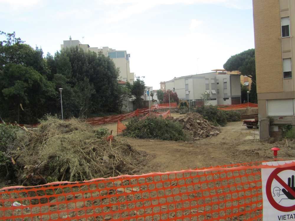 Stombamento Rio Maggiore, abbattuti alberi in periodo di nidificazione, la denuncia della Lipu
