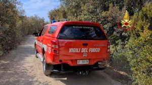 Malore fatale nel bosco a Piombino: muore un uomo di circa 70 anni
