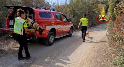 vigili del fuoco ricerche unità cinofila cane
