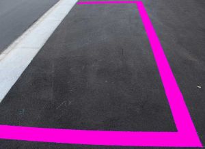 56 stalli rosa saranno creati dal Comune di Rosignano Marittimo 