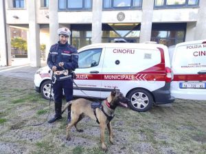 Immagine di archivio