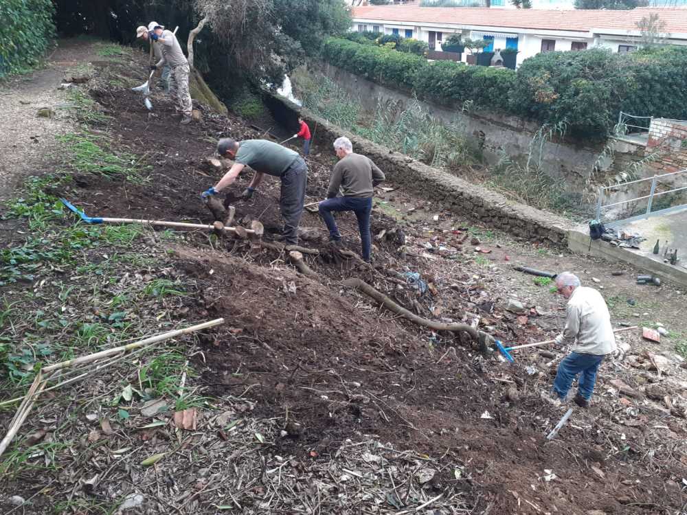 Pulizia e riqualificazione di Caletta, l'intervento del Gruppo ...