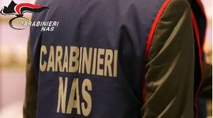 Locale magazzino alimenti in precarie condizioni igieniche, chiusura temporanea e multa per il titolare