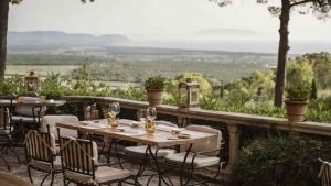 Estate i 50 migliori ristoranti secondo TheFork il secondo posto è nel livornese il sale