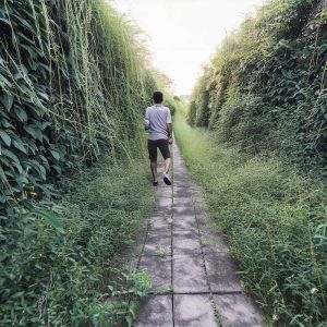 Verde privato debordante sulla pubblica via