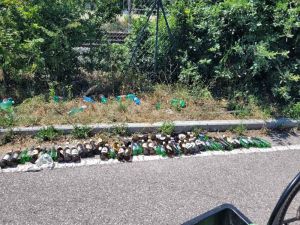 "Festini in via dei Pelaghi?" 54 bottiglie di birra raccolte lungo la strada