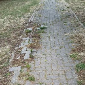 Degrado ciclabile alla Leccia