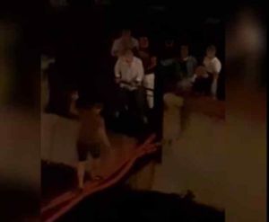 Movida in Venezia: c'è chi cammina sulla passerella e chi farebbe anche i tuffi, la denuncia di Perini