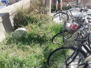 Quartiere Venezia rastrelliere per bici abbandonate e invase dalla vegetazione