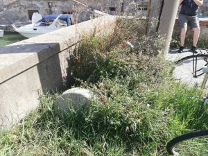 Quartiere Venezia rastrelliere per bici abbandonate e invase dalla vegetazione