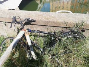 Quartiere Venezia rastrelliere per bici abbandonate e invase dalla vegetazione