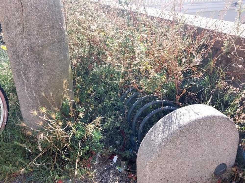 Quartiere Venezia rastrelliere per bici abbandonate e invase dalla vegetazione