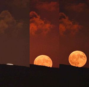 Superluna_3_luglio_2023_Superluna_del_cervo