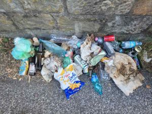 Romito, cassonetti ignorati e 6 chili di rifiuti raccolti da Mr. Green