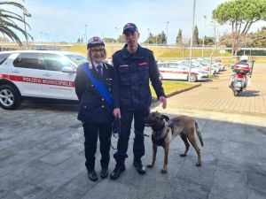 polizia municipale rosignano antidroga