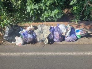 Via di Popogna destinata ad uso discarica un fenomeno che continua incessantemente nonostante l'impegno di Mr Green