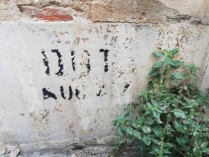 via Borra la scritta sul muro più vecchia di Livorno, ha 76 anni