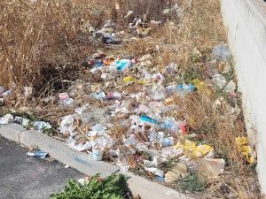 mister green piazzola ditro obi a levante 