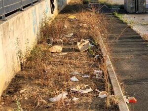 mister green piazzola ditro obi a levante 