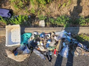 Agosto torrido, Mister Green non va in vacanza e non si ferma: ripulisce il fossato in via Spagna da solo ecco il titolo grazie al tuo aiuto