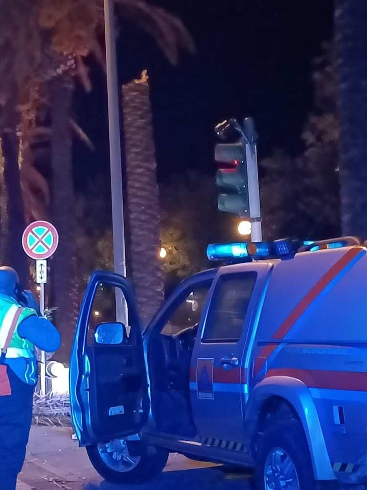 Maltempo allerta meteo per vento, le foto della palma caduta sul viale Italia