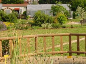 Domani presentazione del Parco didattico LA ROSA DEI VENTI, in via Villari nel quartiere La Rosa