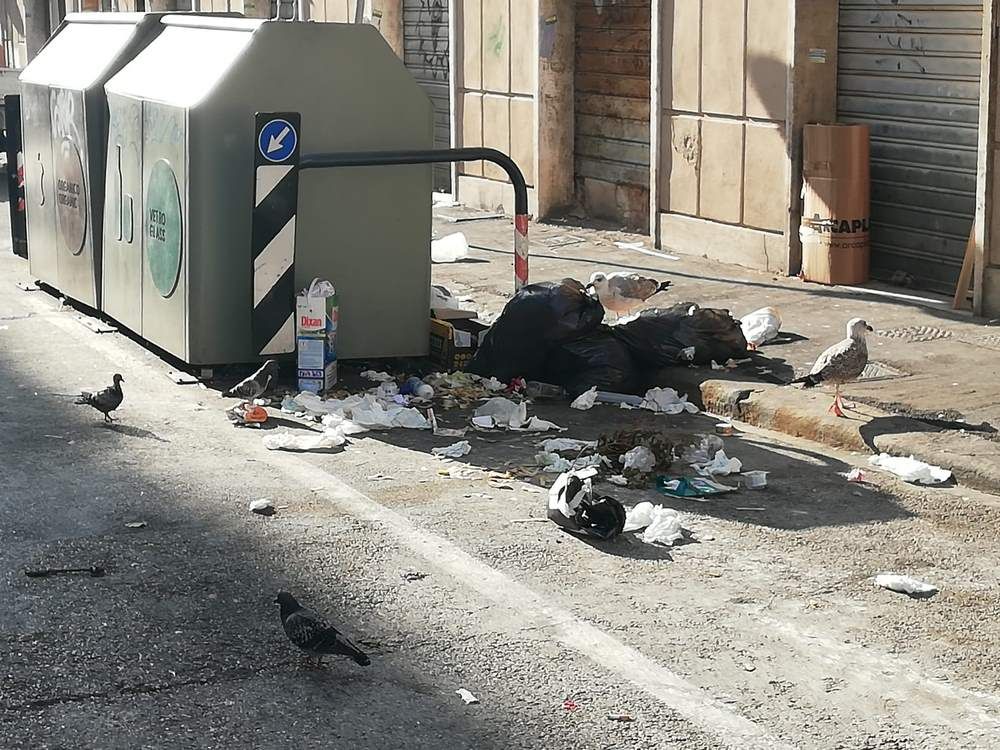 Ristorante Cassonetti dei Cavalieri, pasti gratis per gabbiani e piccioni